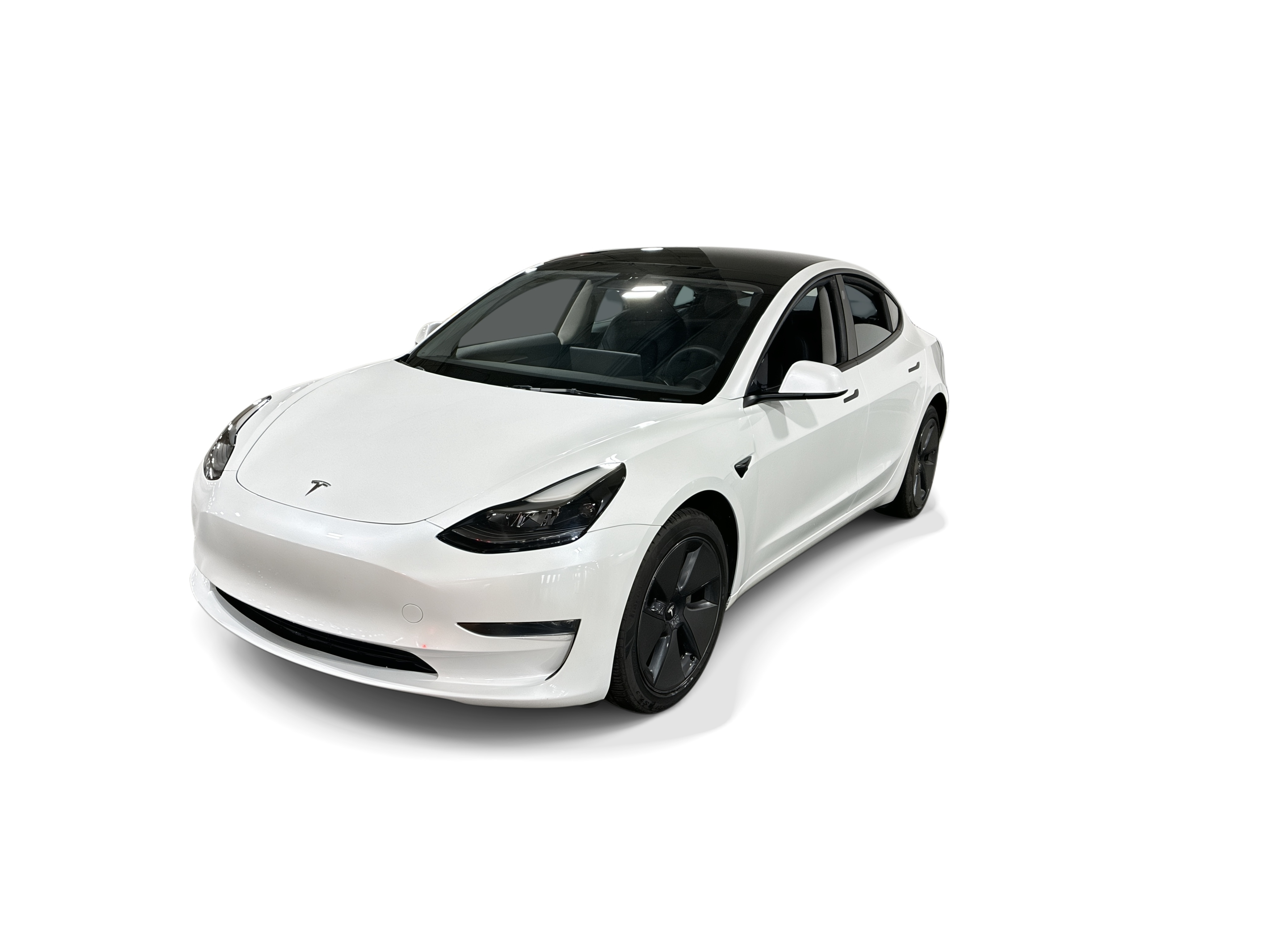 tesla model 3 2023 5YJ3E1EA2PF625775 image tesla model 3 2023 5YJ3E1EA2PF625775 image